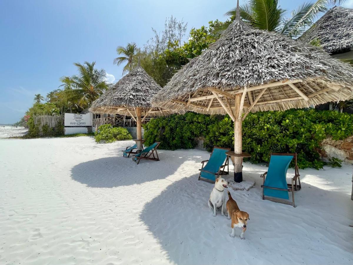 Hebe Bungalows Lodge Matemwe  Dış mekan fotoğraf