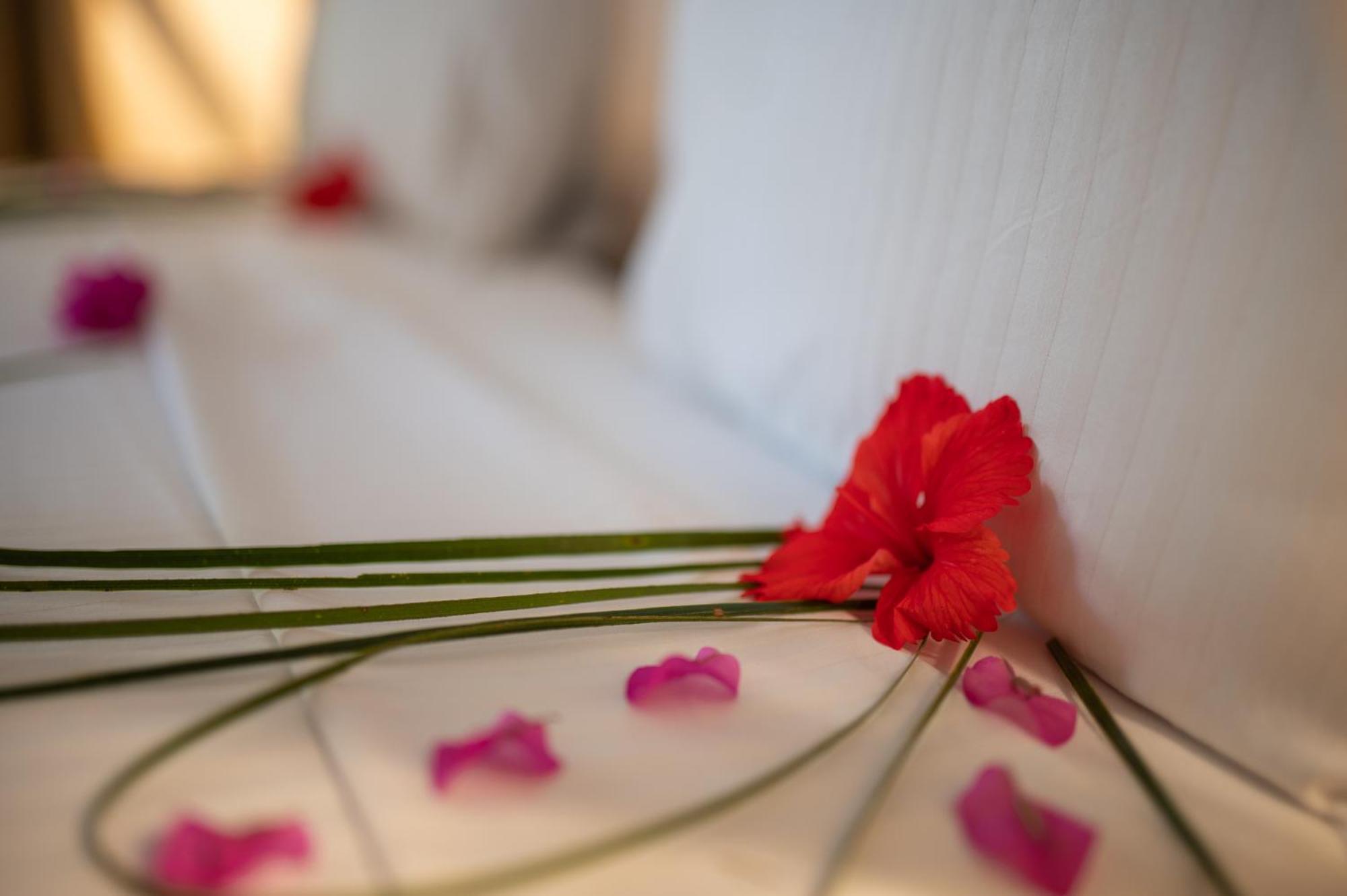 Hebe Bungalows Lodge Matemwe  Dış mekan fotoğraf