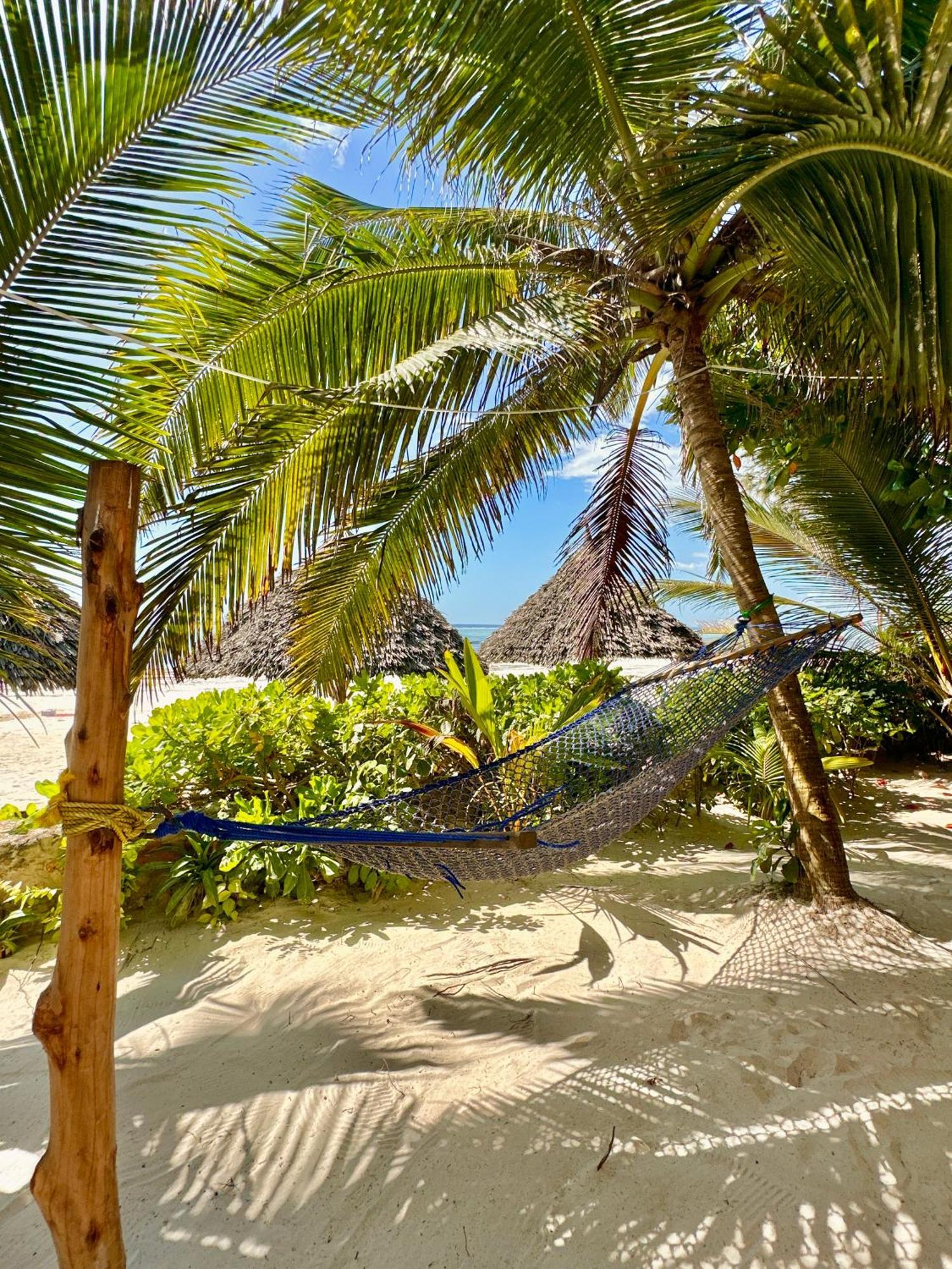Hebe Bungalows Lodge Matemwe  Dış mekan fotoğraf