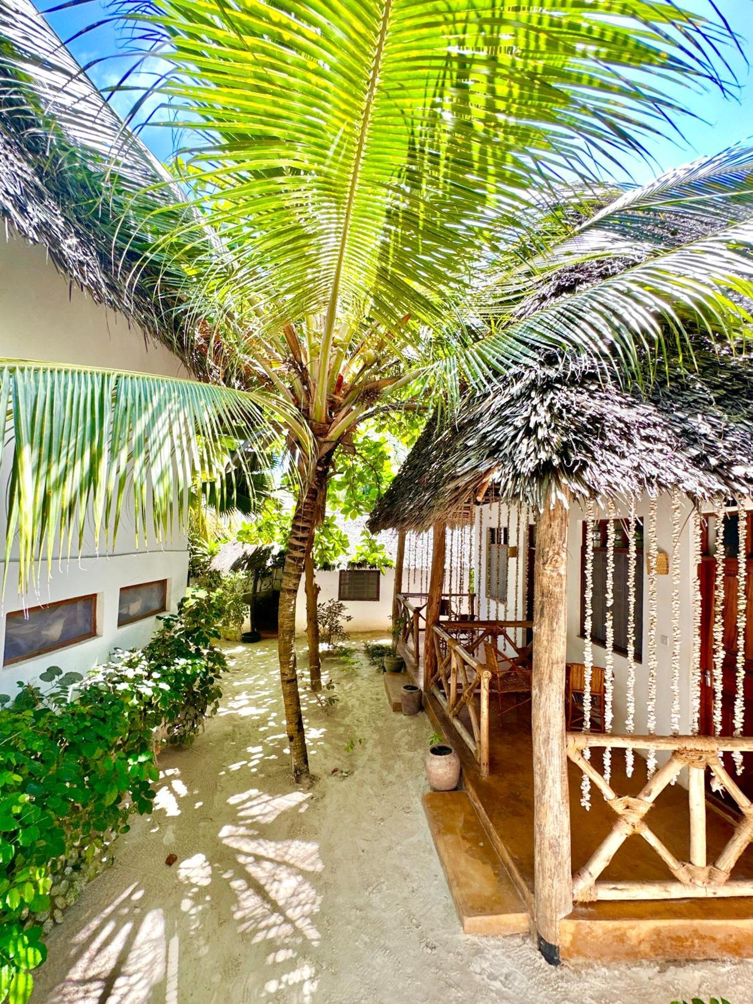 Hebe Bungalows Lodge Matemwe  Dış mekan fotoğraf