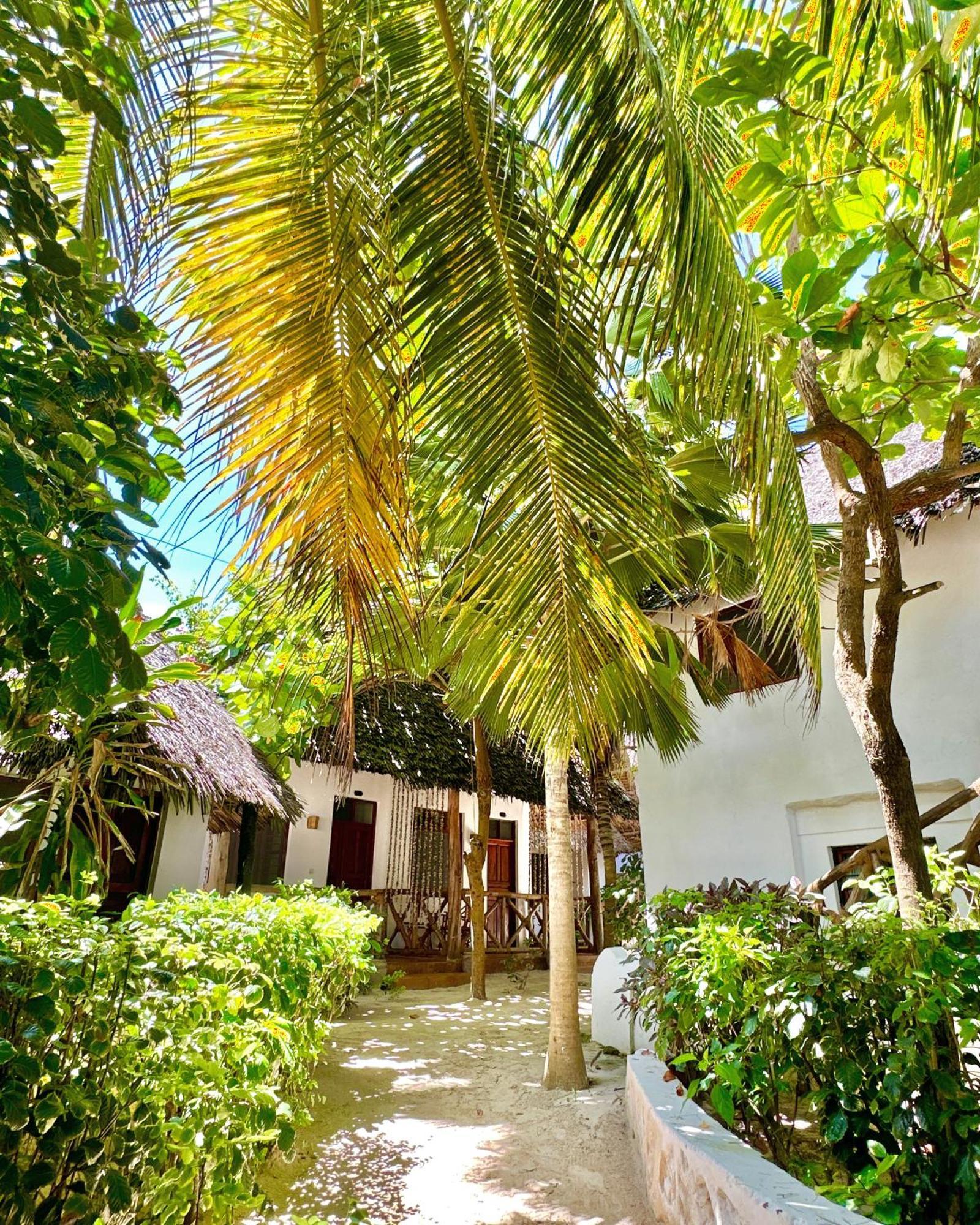 Hebe Bungalows Lodge Matemwe  Dış mekan fotoğraf