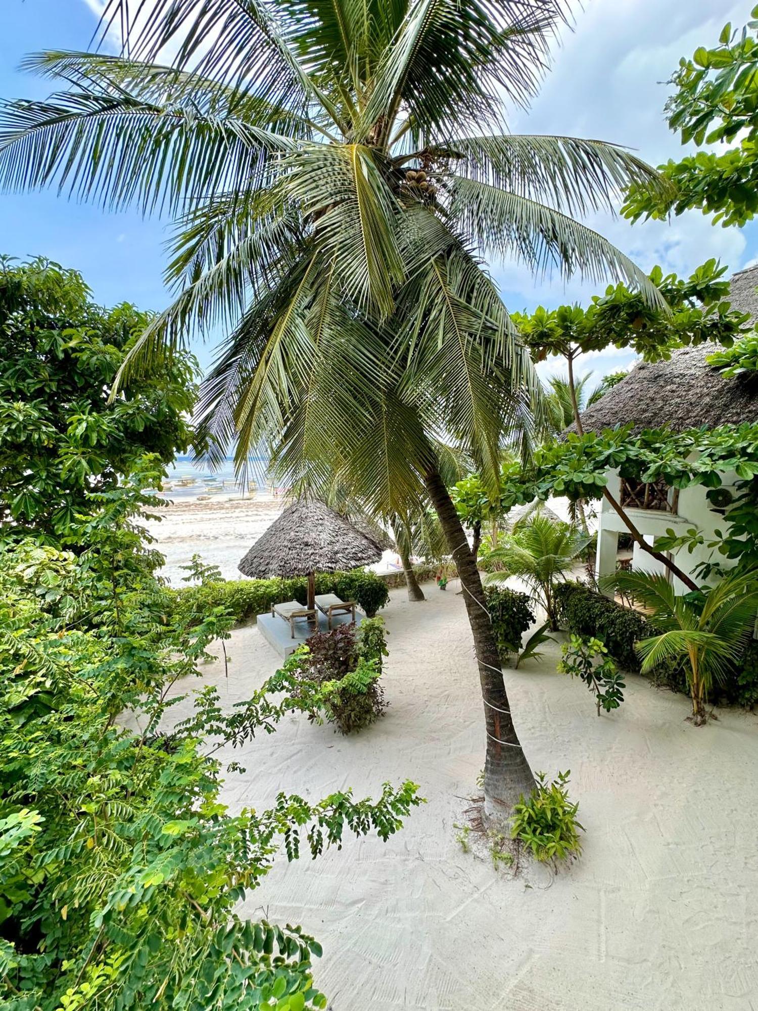 Hebe Bungalows Lodge Matemwe  Dış mekan fotoğraf